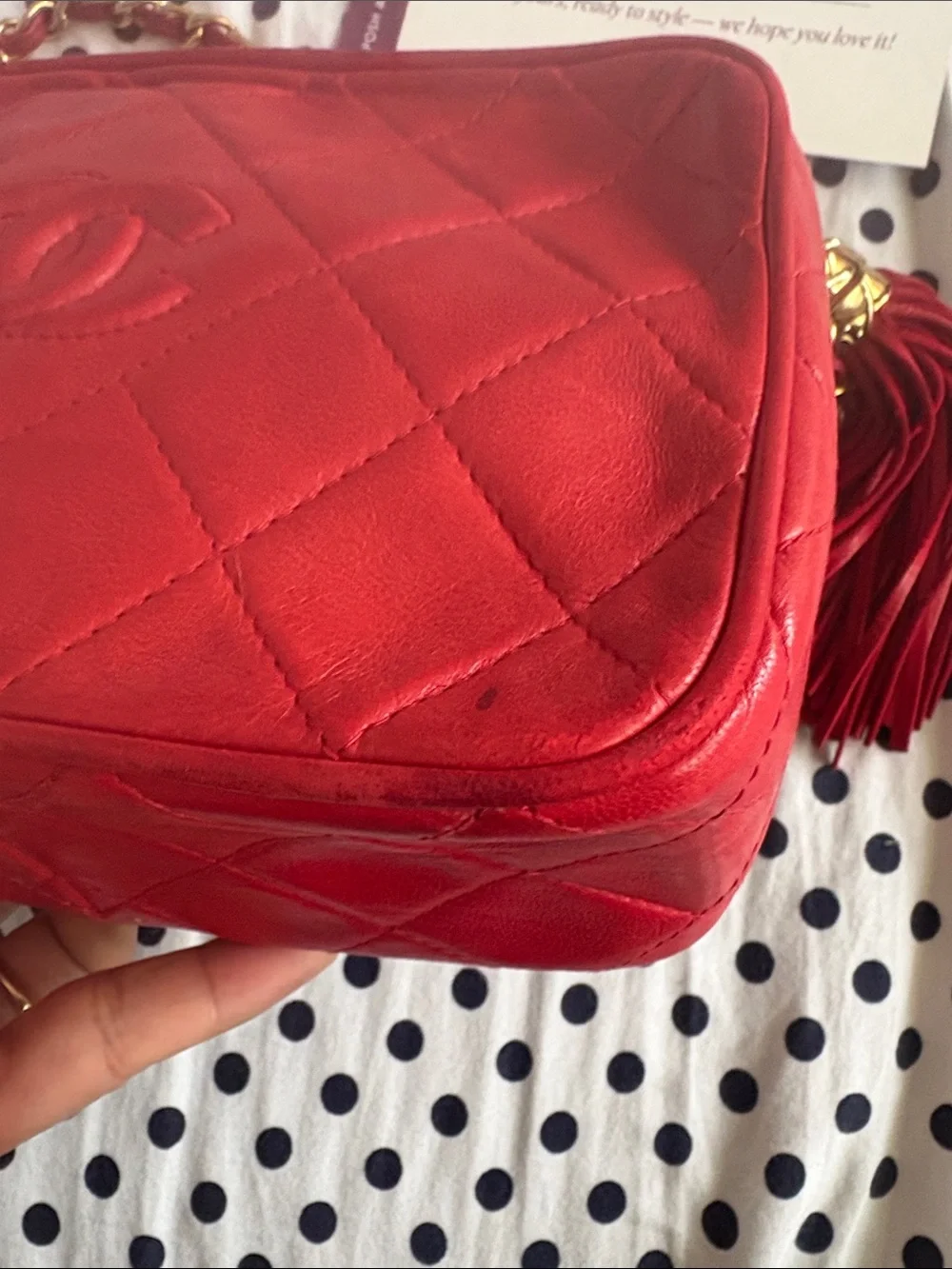 CHANEL Quilted Lambskin Leather Crossbody Camera Bag with Tassel and Gold Chain
